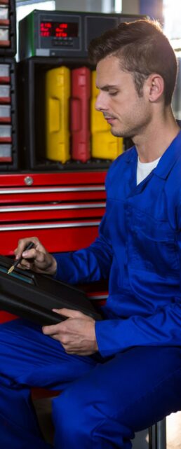 {{brizy_dc_image_alt imageSrc=